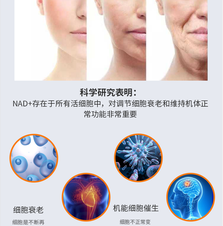 SunnyLife NMN6600 : la clé pour lutter contre le vieillissement et inverser les signes de l'âge, produit au Canada