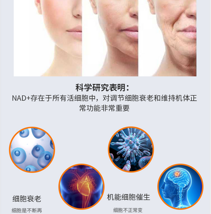 SunnyLife NMN6600 : la clé pour lutter contre le vieillissement et inverser les signes de l'âge, produit au Canada