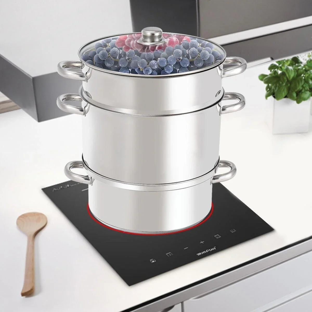 Costway 11-Quart Stainless Steel Fruit Juicer Steamer 15268409 - YOURISHOP.COM