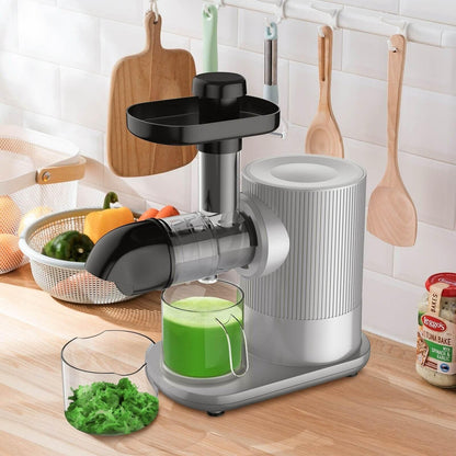 Horizontal Slow Masticating Extractor Juicer with Brush 25194073 - YOURISHOP.COM