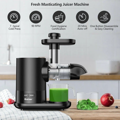 Horizontal Slow Masticating Extractor Juicer with Brush 25194073 - YOURISHOP.COM