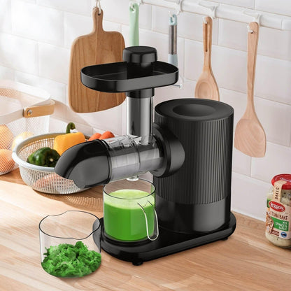 Horizontal Slow Masticating Extractor Juicer with Brush 25194073 - YOURISHOP.COM