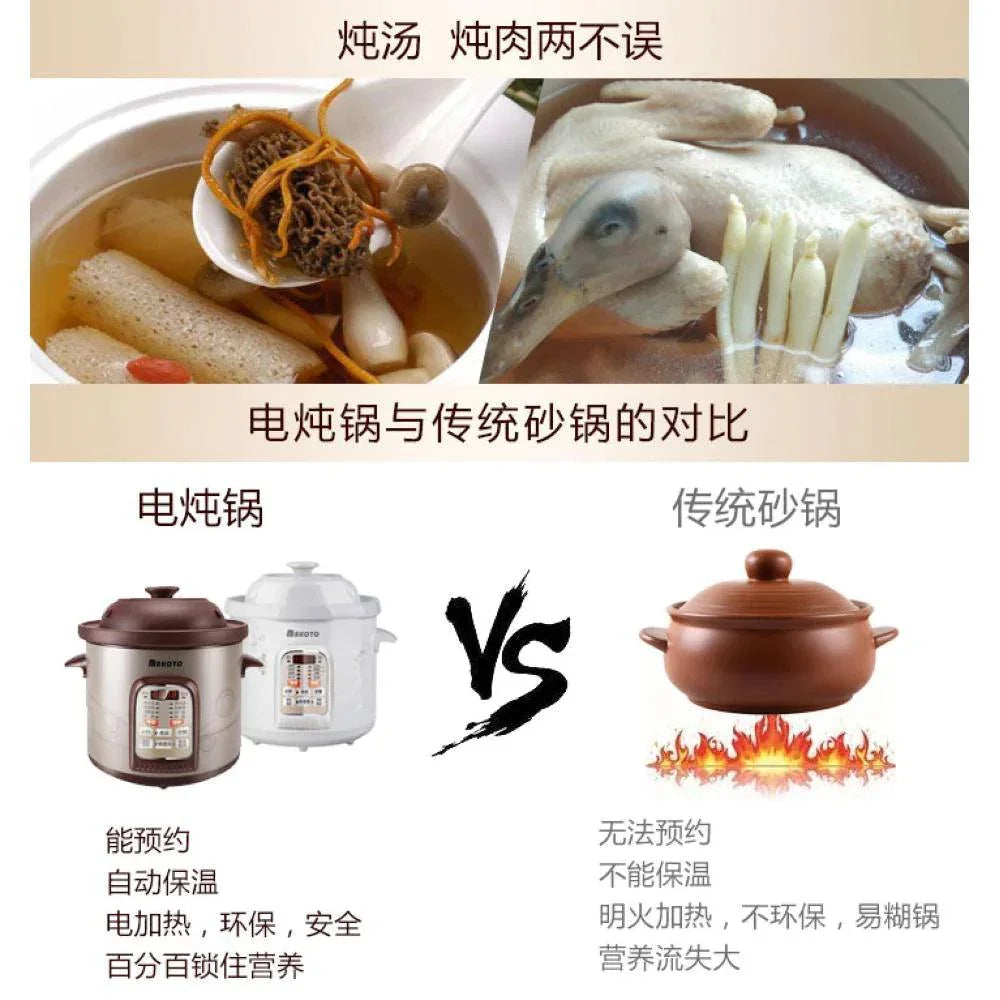 Tonze Electric Cooker DGD40-40SWD, Purple Clay inner pot, 500W, 4L - YOURISHOP.COM