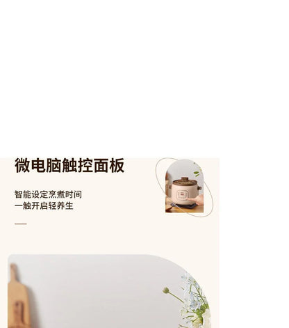 ZSD-7381: Zeno Slow Cooker, Purple Clay inner pot, 3L - YOURISHOP.COM