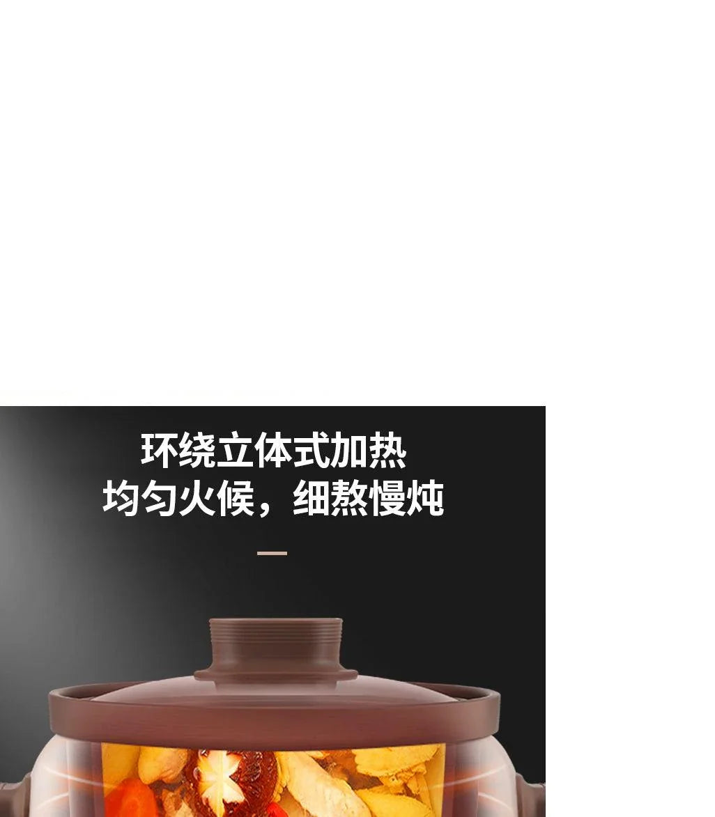 ZSD-7381: Zeno Slow Cooker, Purple Clay inner pot, 3L - YOURISHOP.COM