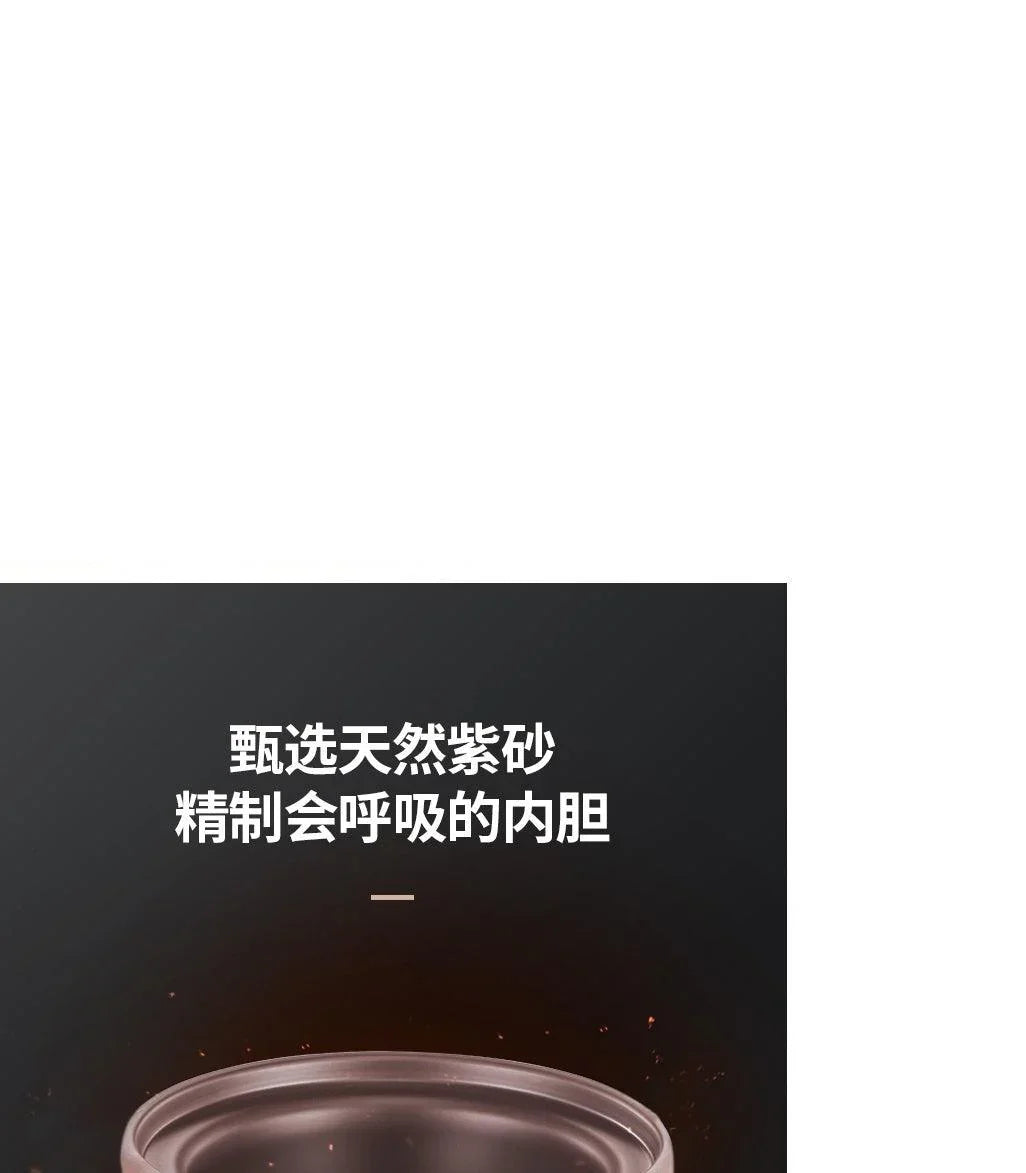 ZSD-7381: Zeno Slow Cooker, Purple Clay inner pot, 3L - YOURISHOP.COM