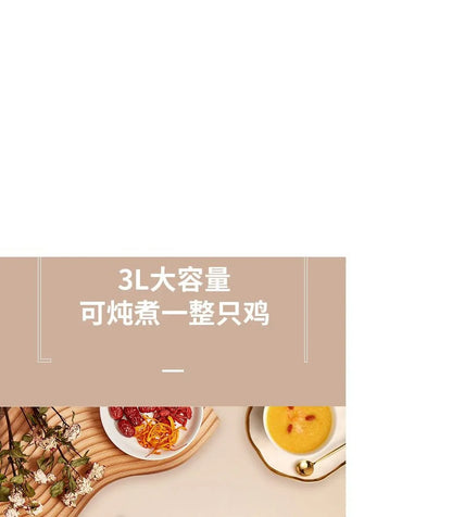 ZSD-7381: Zeno Slow Cooker, Purple Clay inner pot, 3L - YOURISHOP.COM